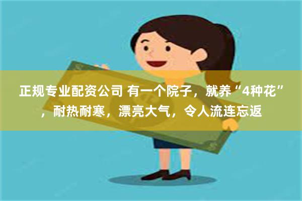 正规专业配资公司 有一个院子，就养“4种花”，耐热耐寒，漂亮大气，令人流连忘返