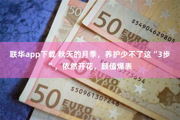 联华app下载 秋天的月季，养护少不了这“3步”，依然开花，颜值爆表