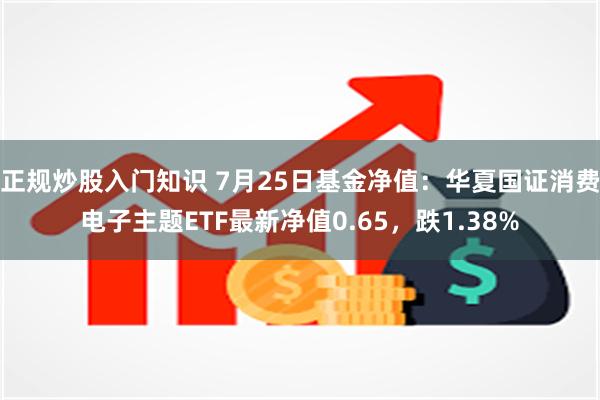 正规炒股入门知识 7月25日基金净值：华夏国证消费电子主题ETF最新净值0.65，跌1.38%