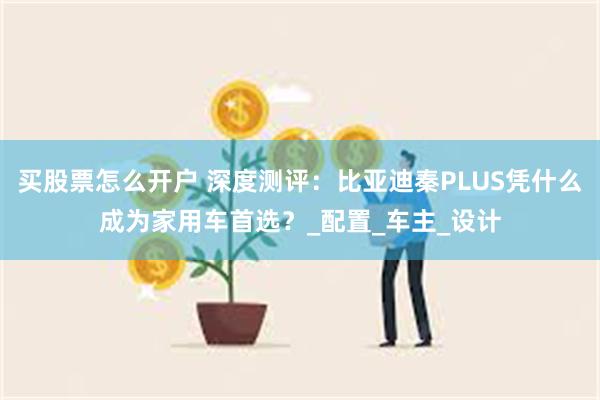 买股票怎么开户 深度测评：比亚迪秦PLUS凭什么成为家用车首选？_配置_车主_设计