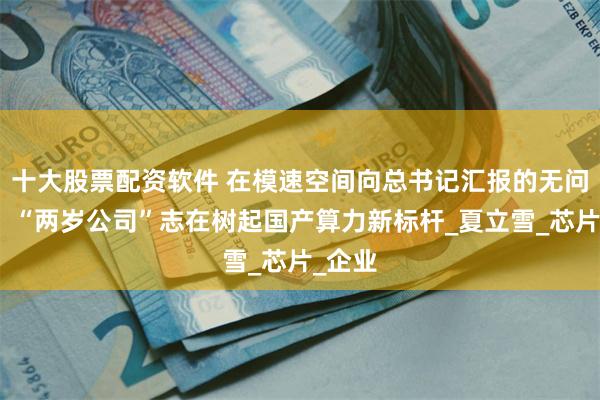 十大股票配资软件 在模速空间向总书记汇报的无问芯穹：“两岁公司”志在树起国产算力新标杆_夏立雪_芯片_企业