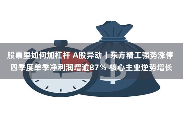 股票里如何加杠杆 A股异动丨东方精工强势涨停 四季度单季净利润增逾87％ 核心主业逆势增长