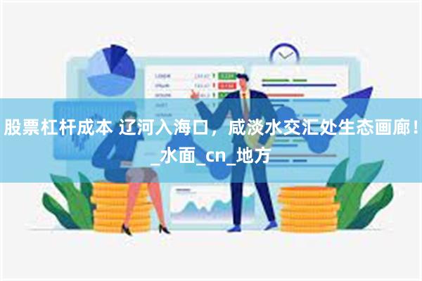 股票杠杆成本 辽河入海口，咸淡水交汇处生态画廊！_水面_cn_地方
